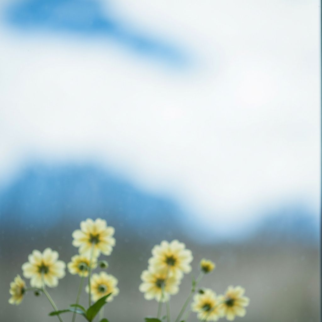 Okolje in letni čas